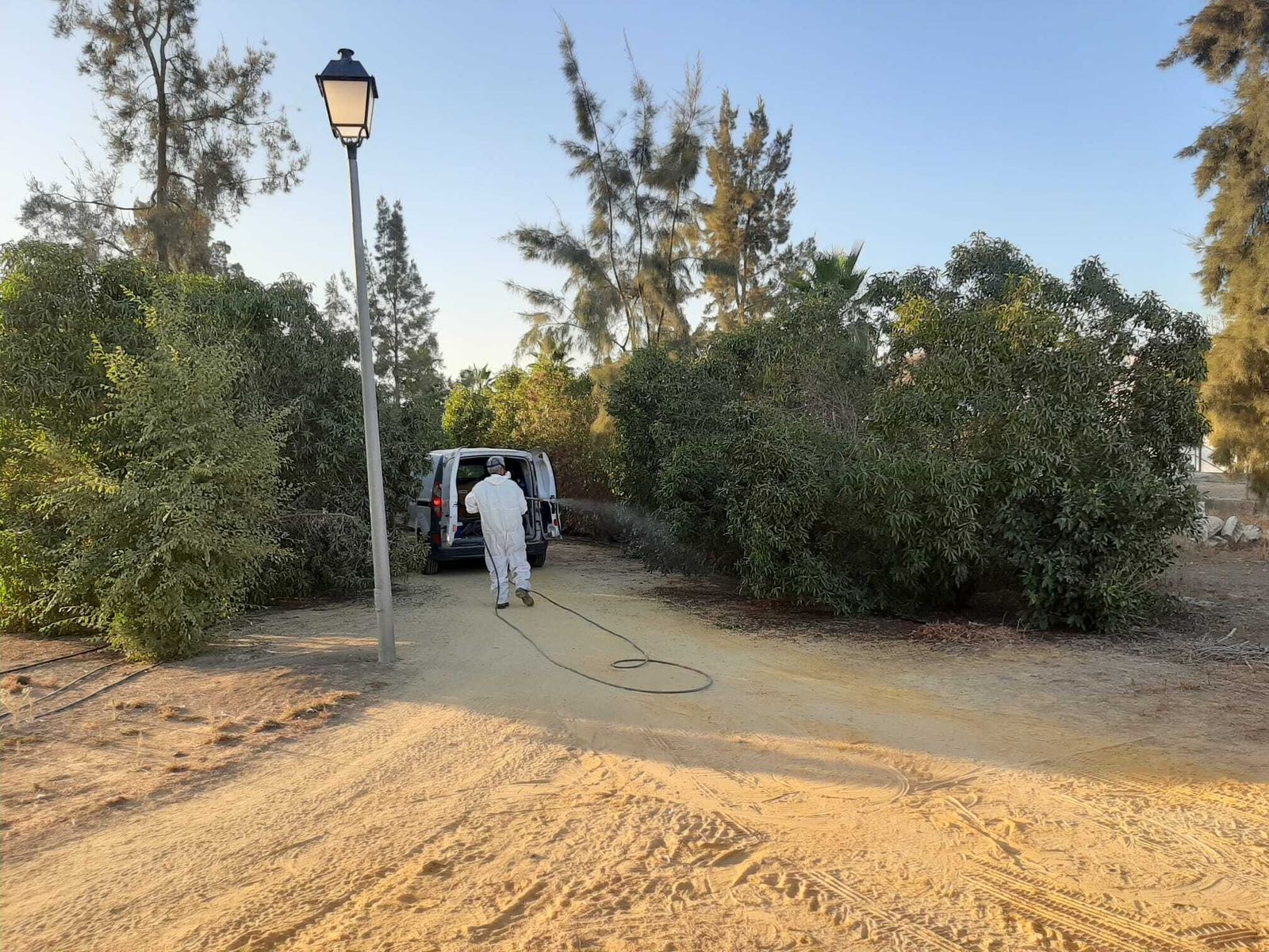 Operarios de una empresa especializada desinsectizando en Pinzón, el pasado lunes.