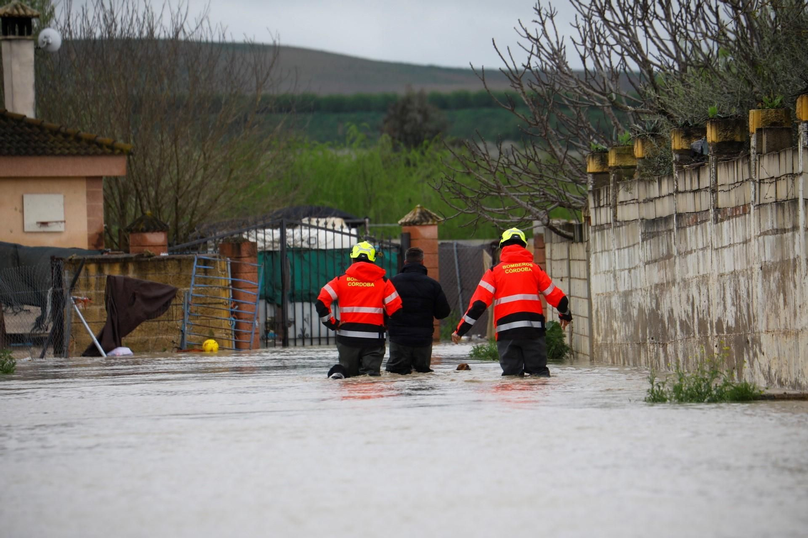 Las imágenes de las parcelaciones inundadas por la crecida del río Guadalquivir
