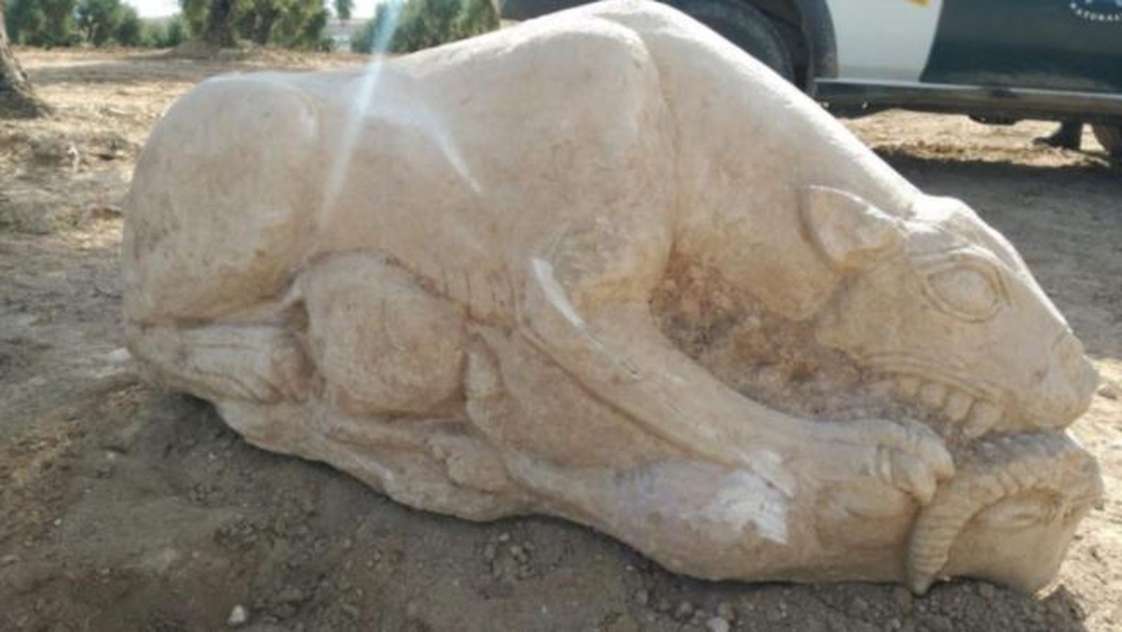 Un agricultor descubre una leona íbera en su olivar de Córdoba