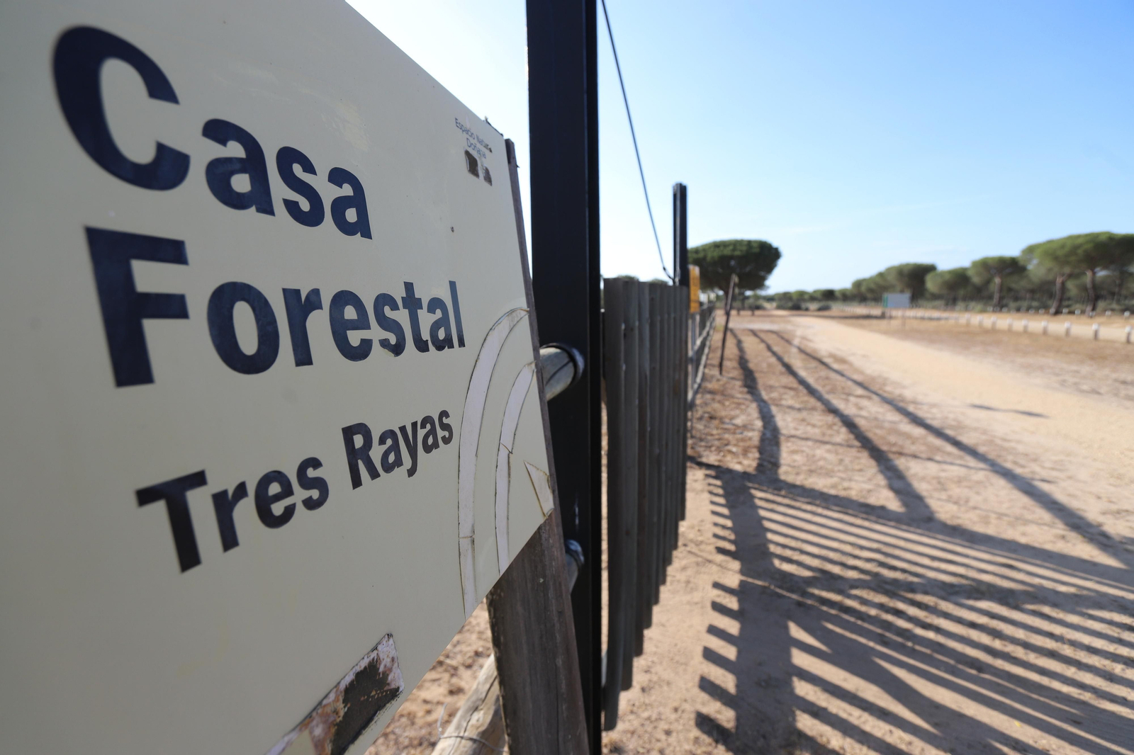 Imágenes del estado en el que se encuentran los caminos del Rocío para la Romería 2023