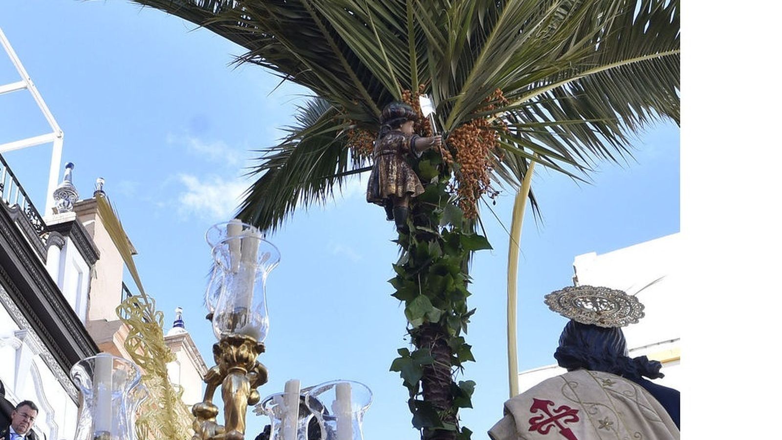 Zaqueo en la palmera del paso de la Borriquita