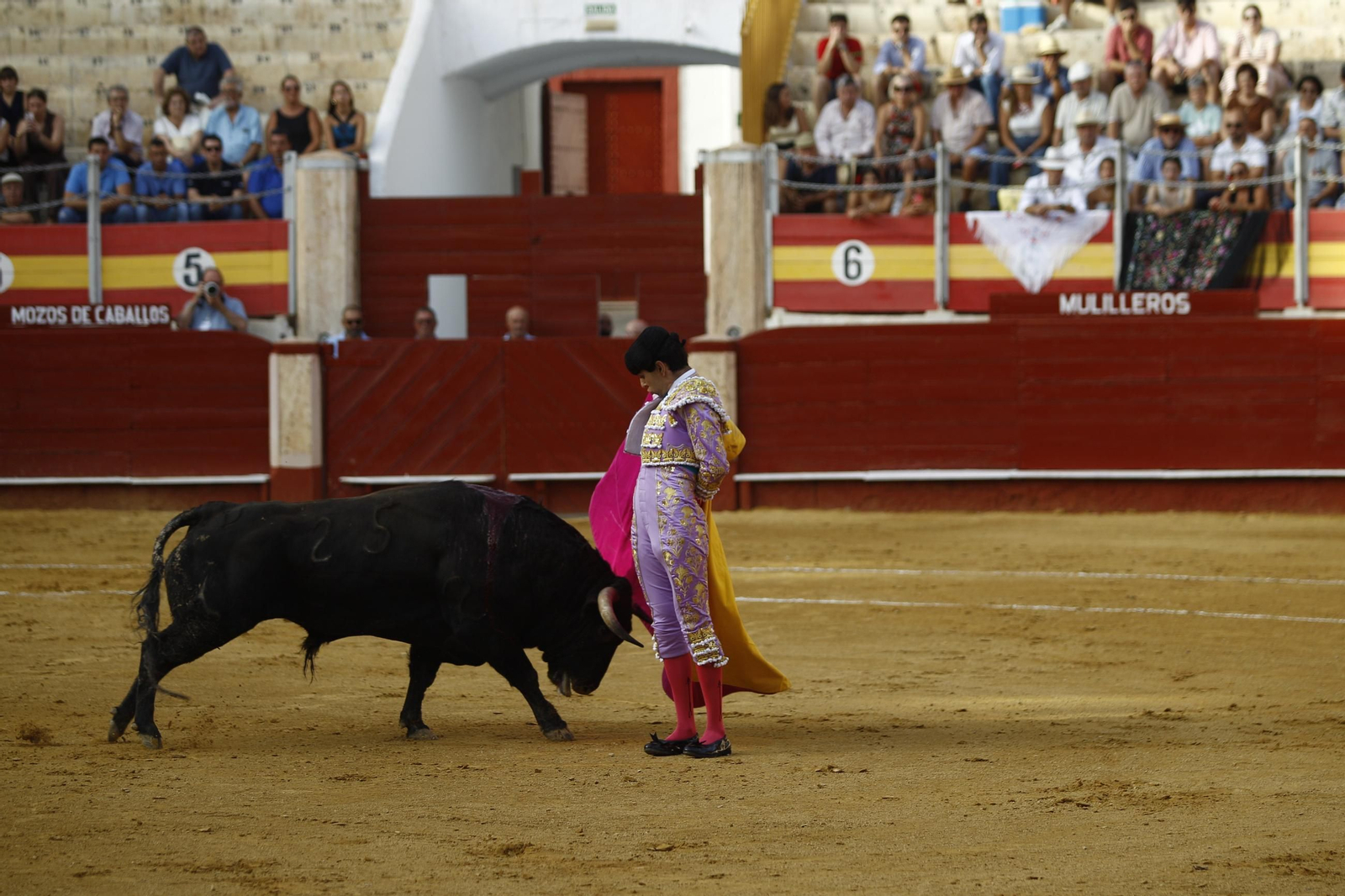 Imágenes de la novillada de la Feria de Almería 2025