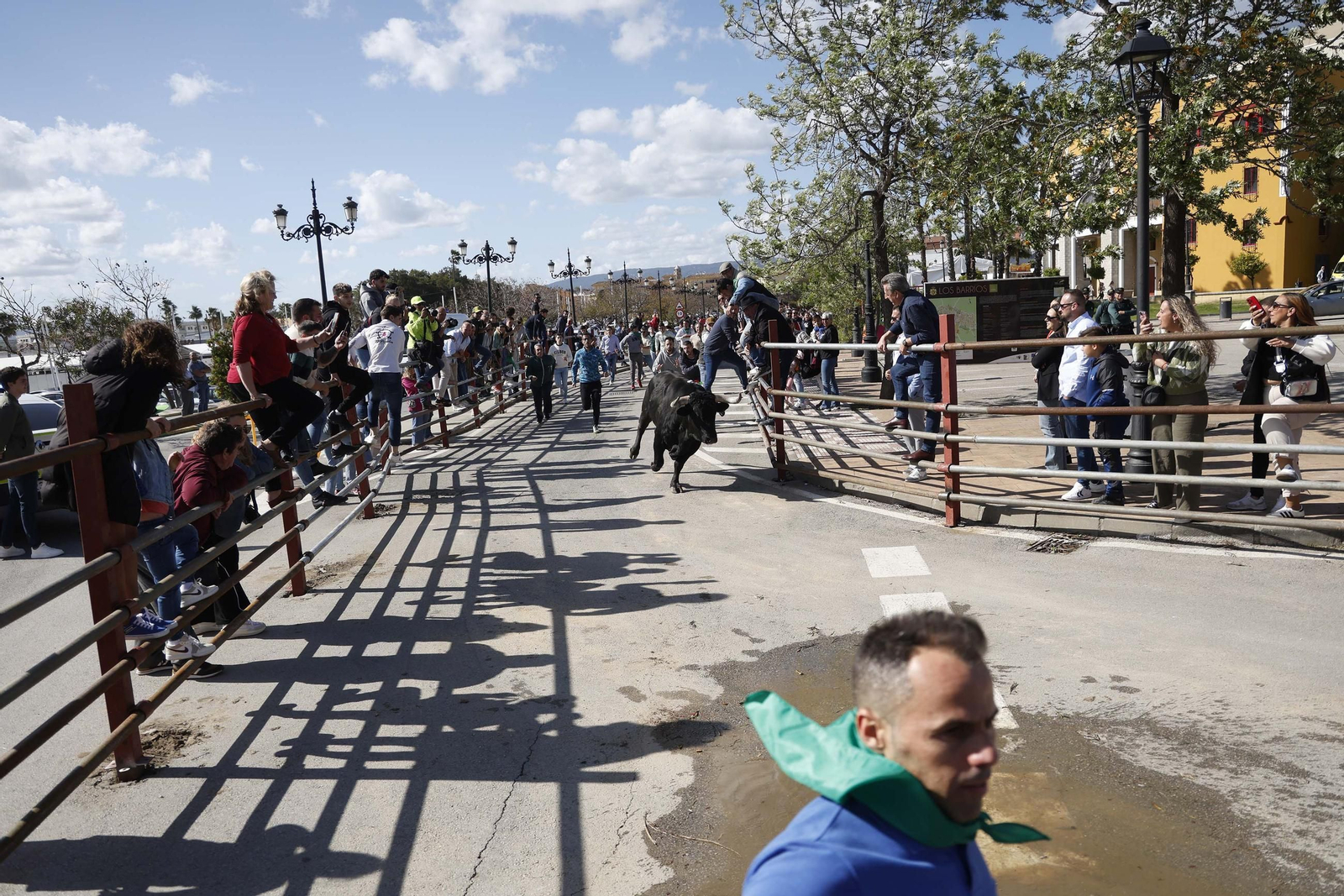 Fotos de los encierros del sábado del Toro Embolao en Los Barrios