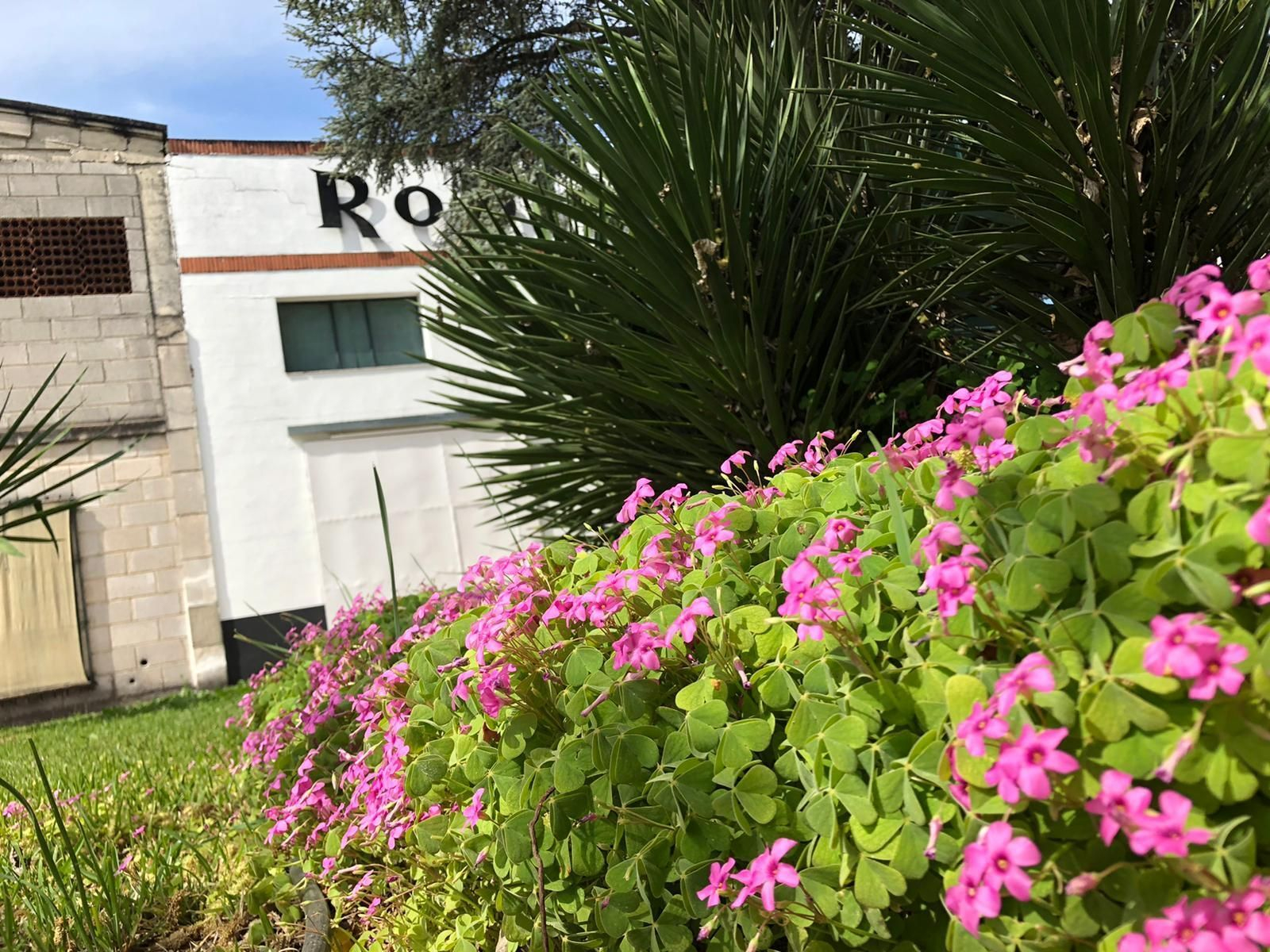 Las fotografías de la primavera en la Campiña de Córdoba