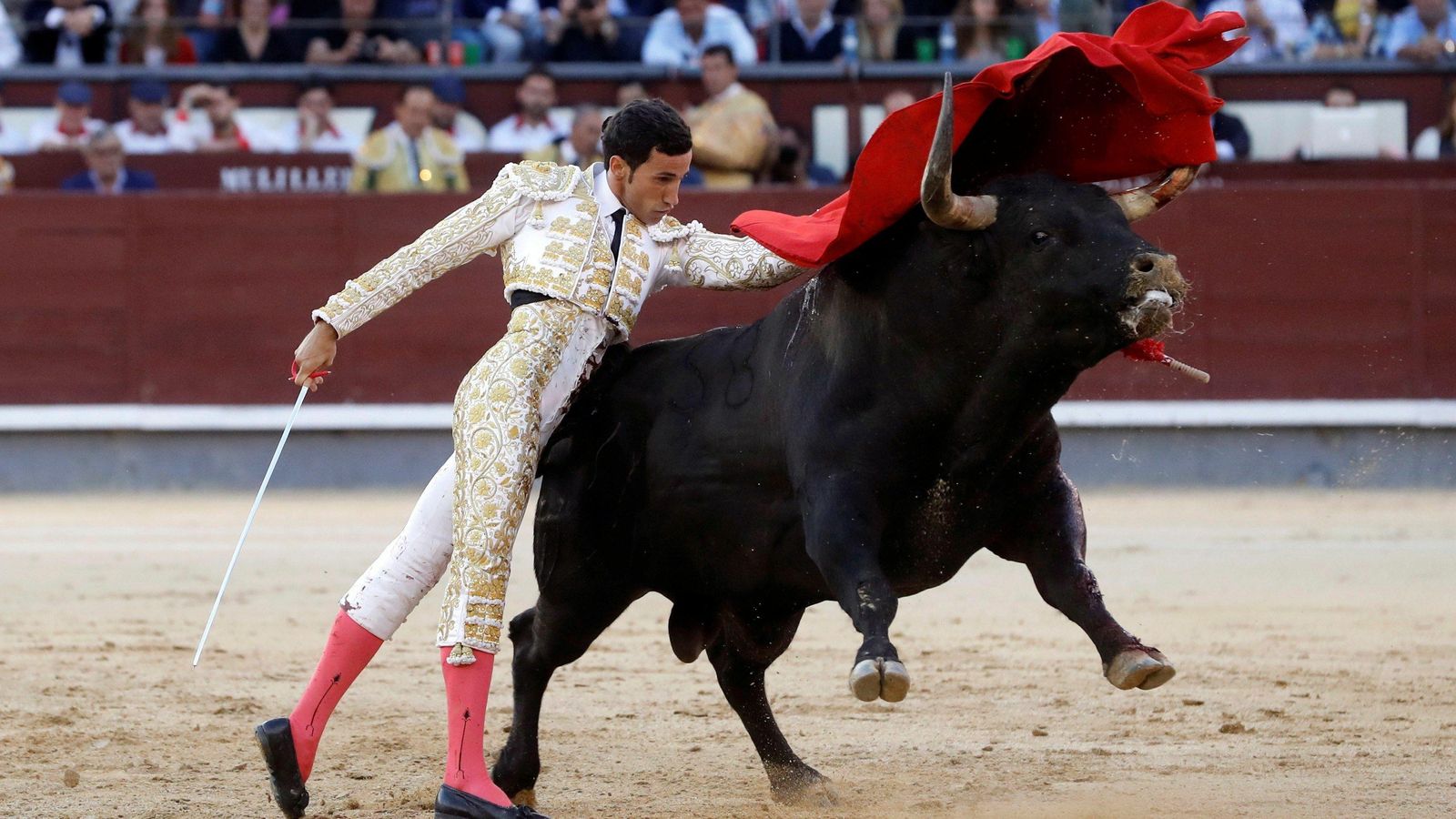 El triguereño remata por alto una de las tandas de toreo que ofreció ayer en Madrid. El triguereño remata por alto una de las tandas de toreo que ofreció ayer en Madrid.