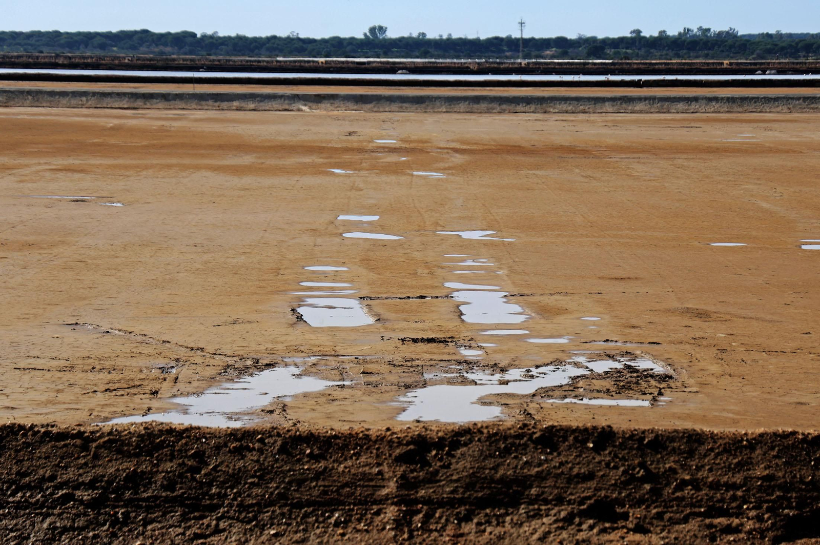 Imágenes del sábado 1 de febrero en Huelva