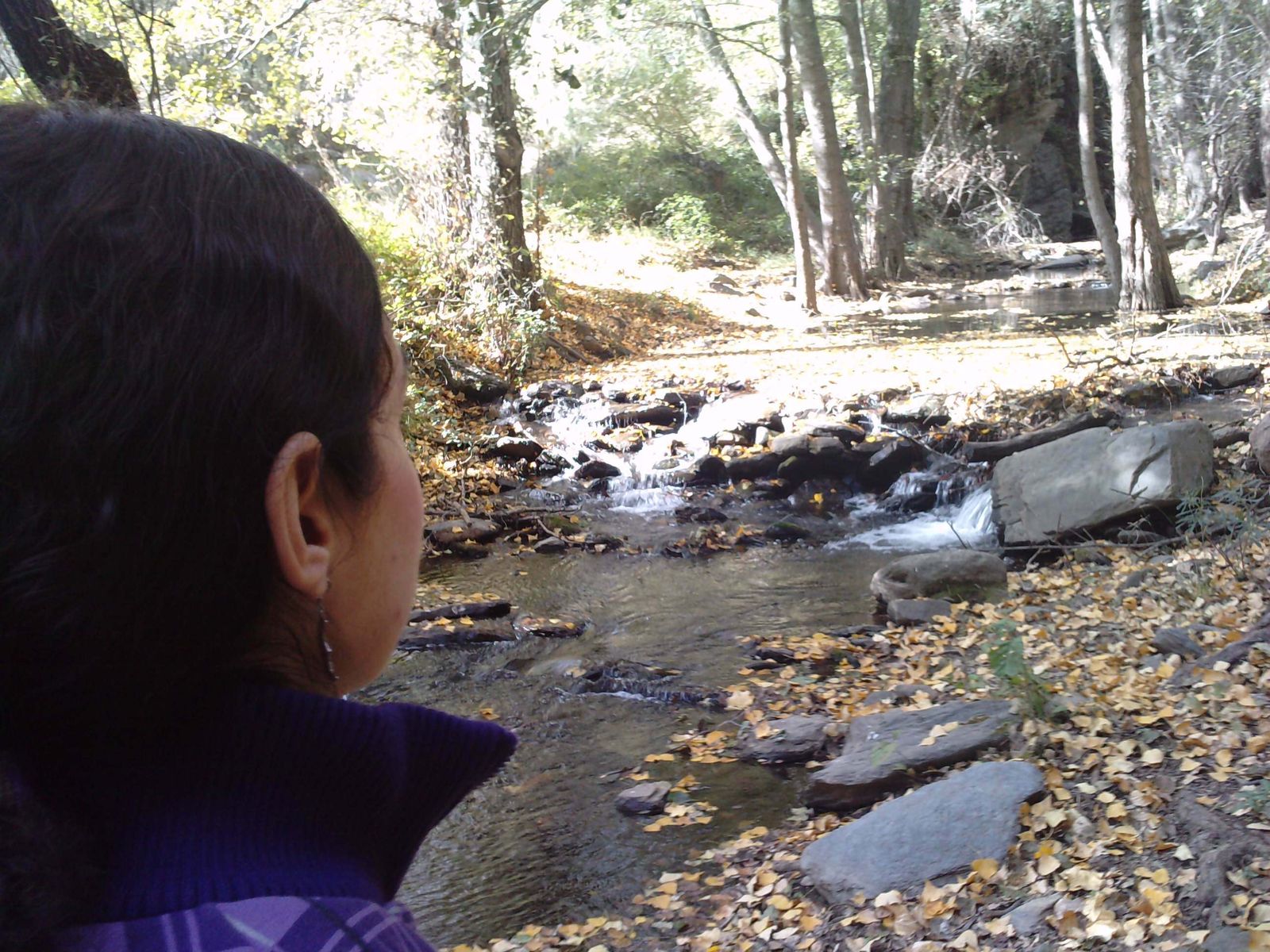 Ruta solidaria a favor de los animales de La Huella Roja.