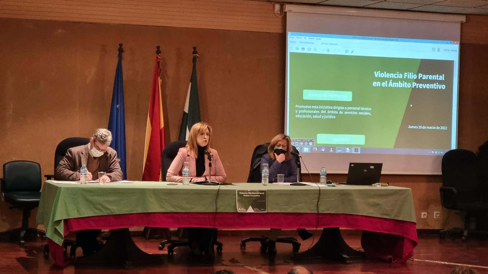 Fidalgo en la inauguración en Cádiz la jornada sobre violencia filioparental