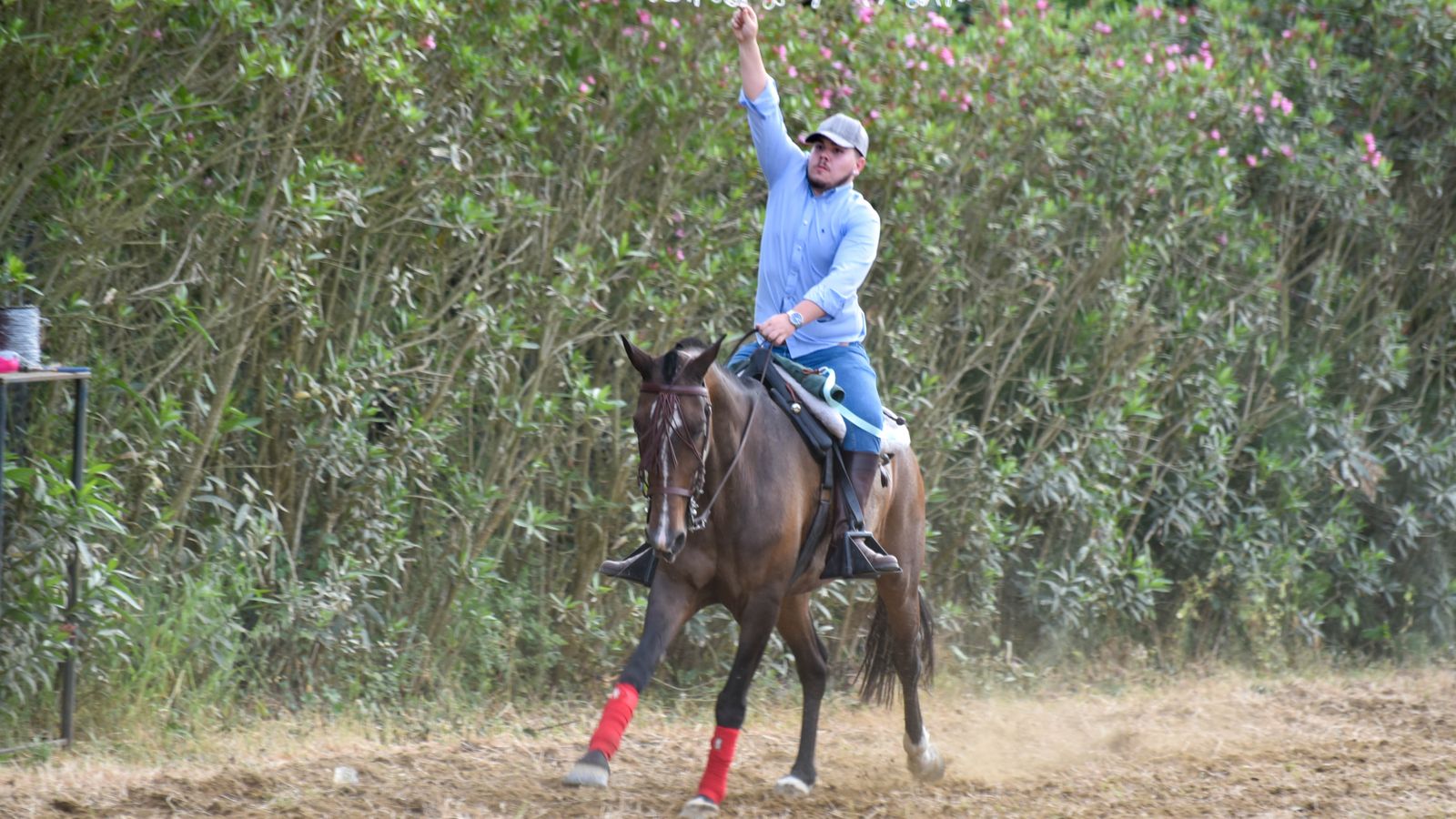 Las fotos de la Feria de Castellar