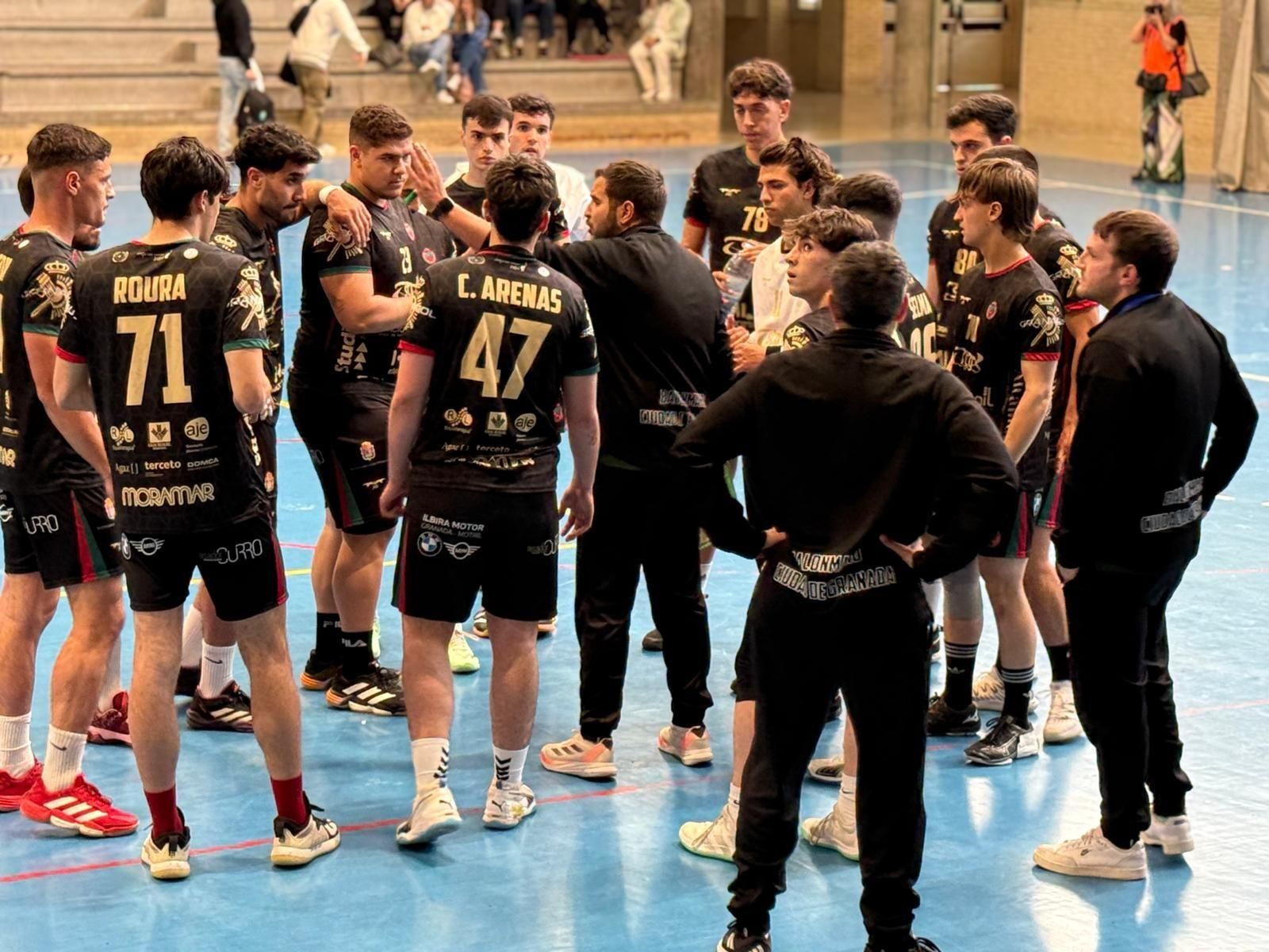 Los granadinos no pudieron evitar el descenso.