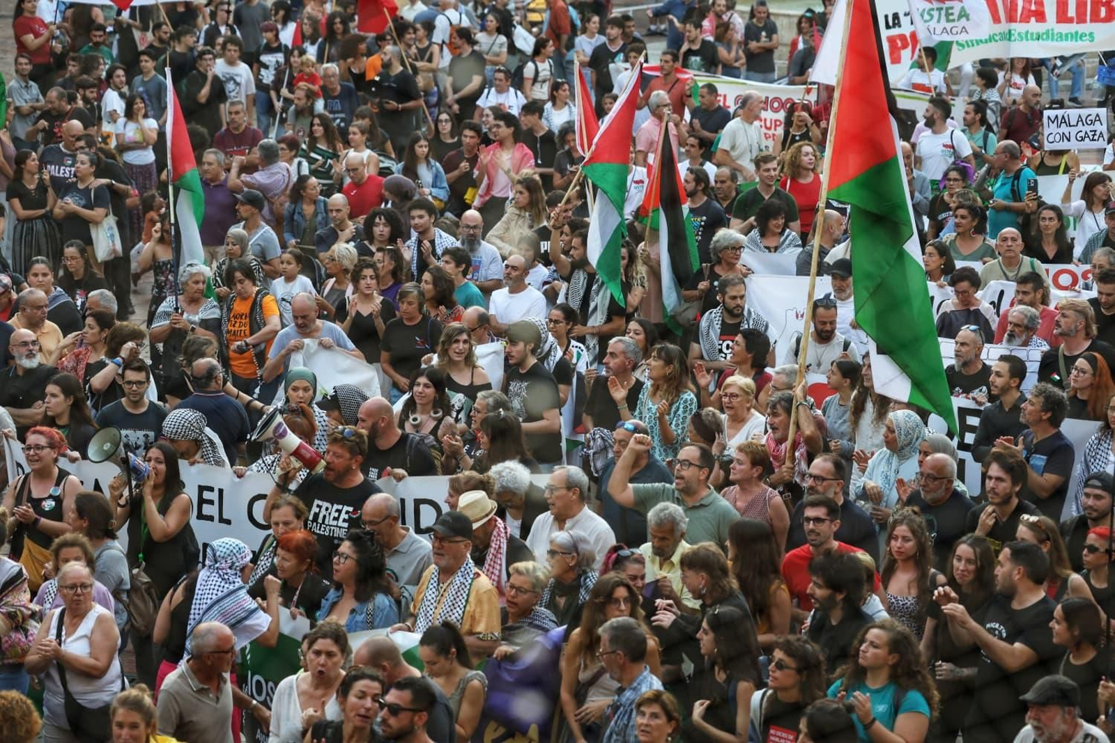 La manifestación por Palestina en Málaga, en imágenes