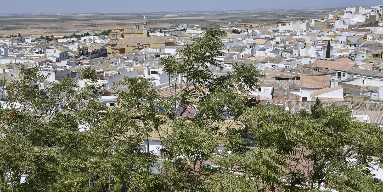 Vista de Osuna.