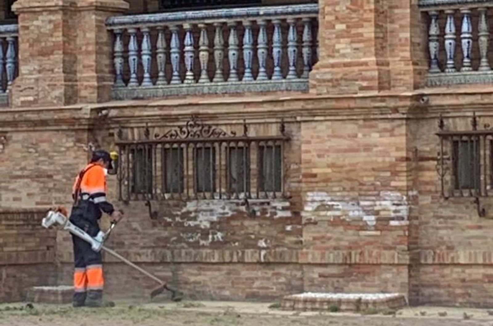Un operario elimina los jaramagos en la mañana de hoy martes