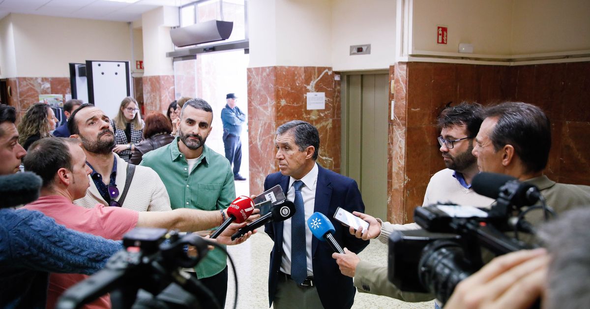 El nuevo juzgado comarcal de Violencia de Género dará "trato más ágil y ...