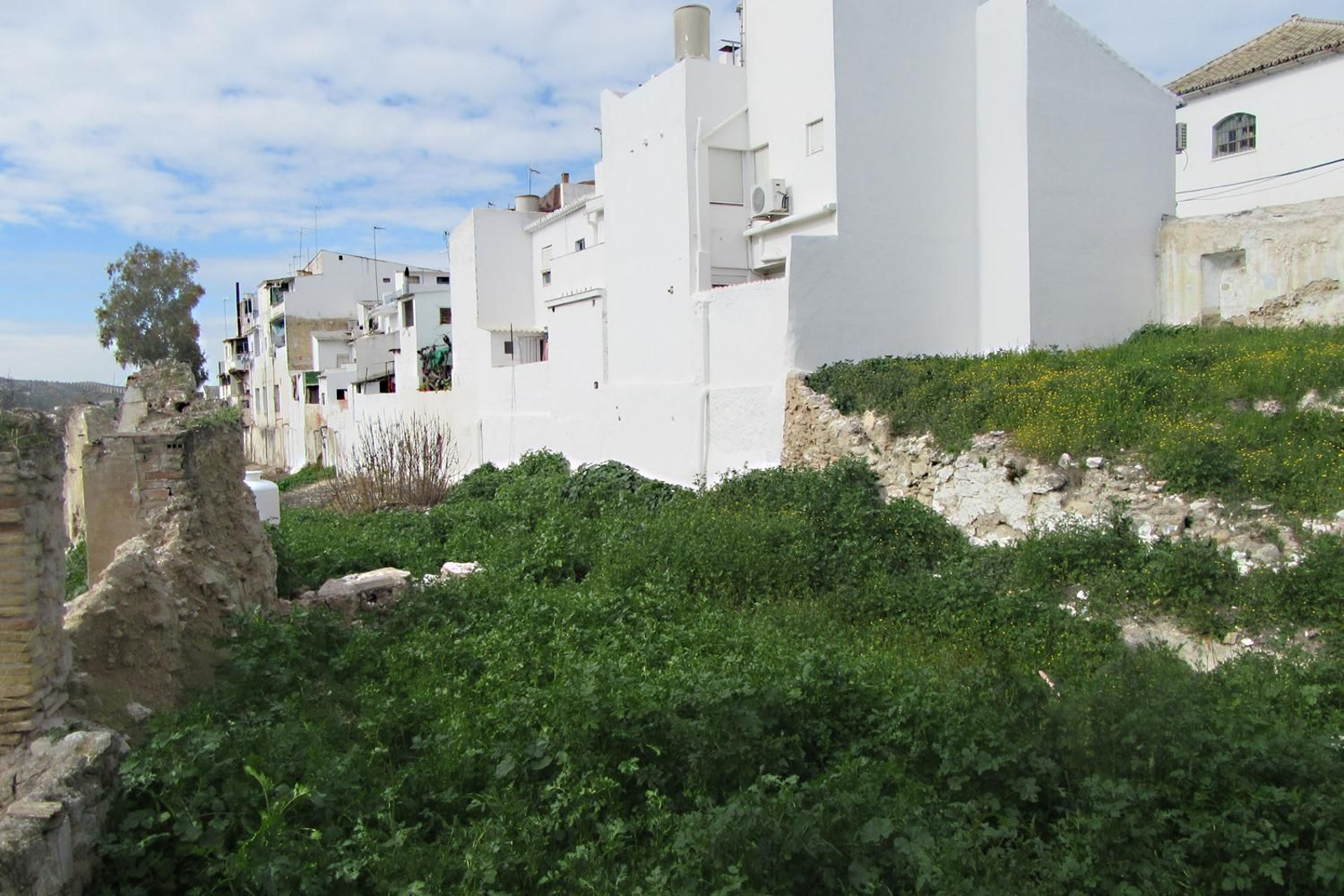 Huertos sociales de la Cañada, en la calle Pedro Reyes de Baena.