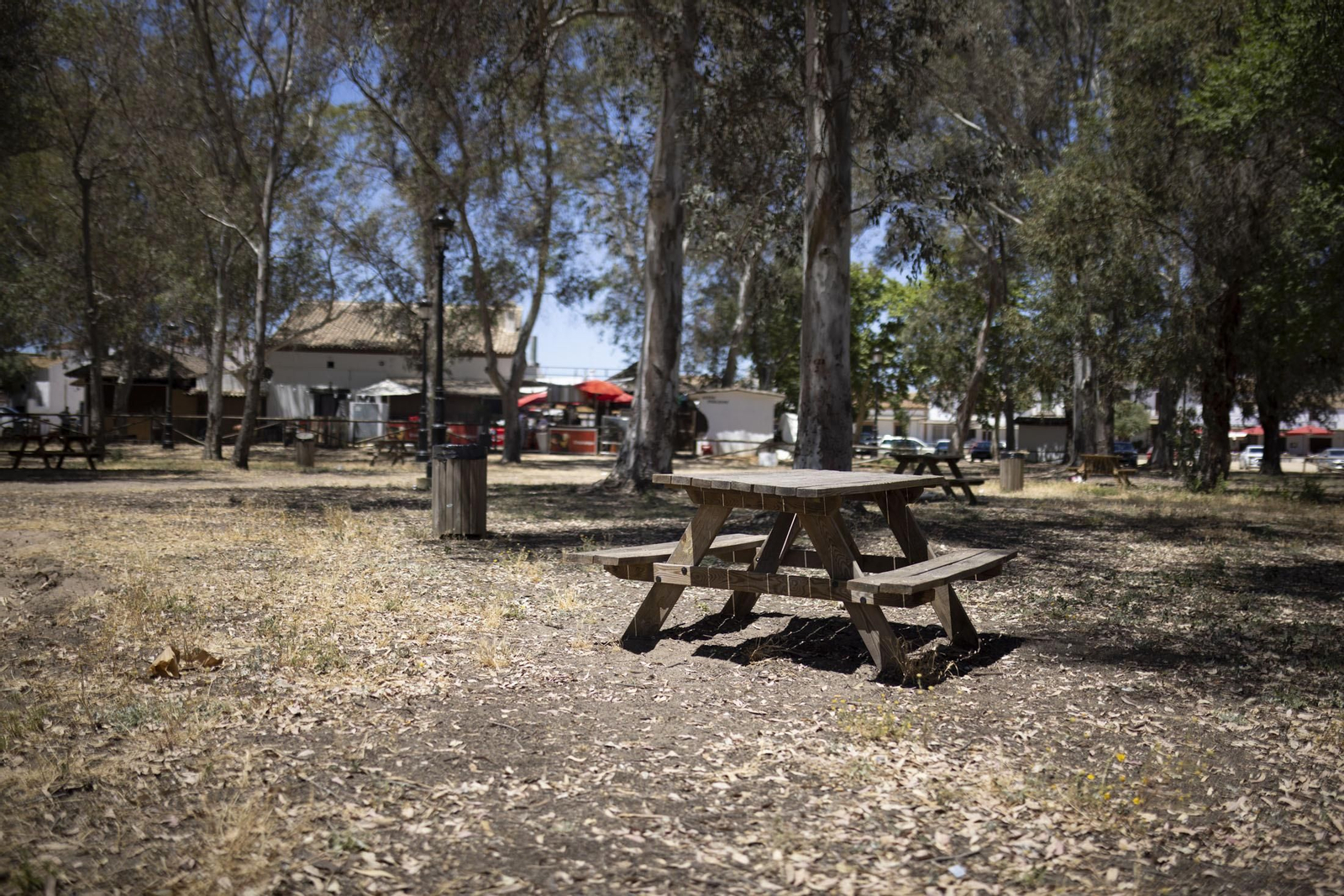 ¿Por qué la aldea del Rocío enamora?