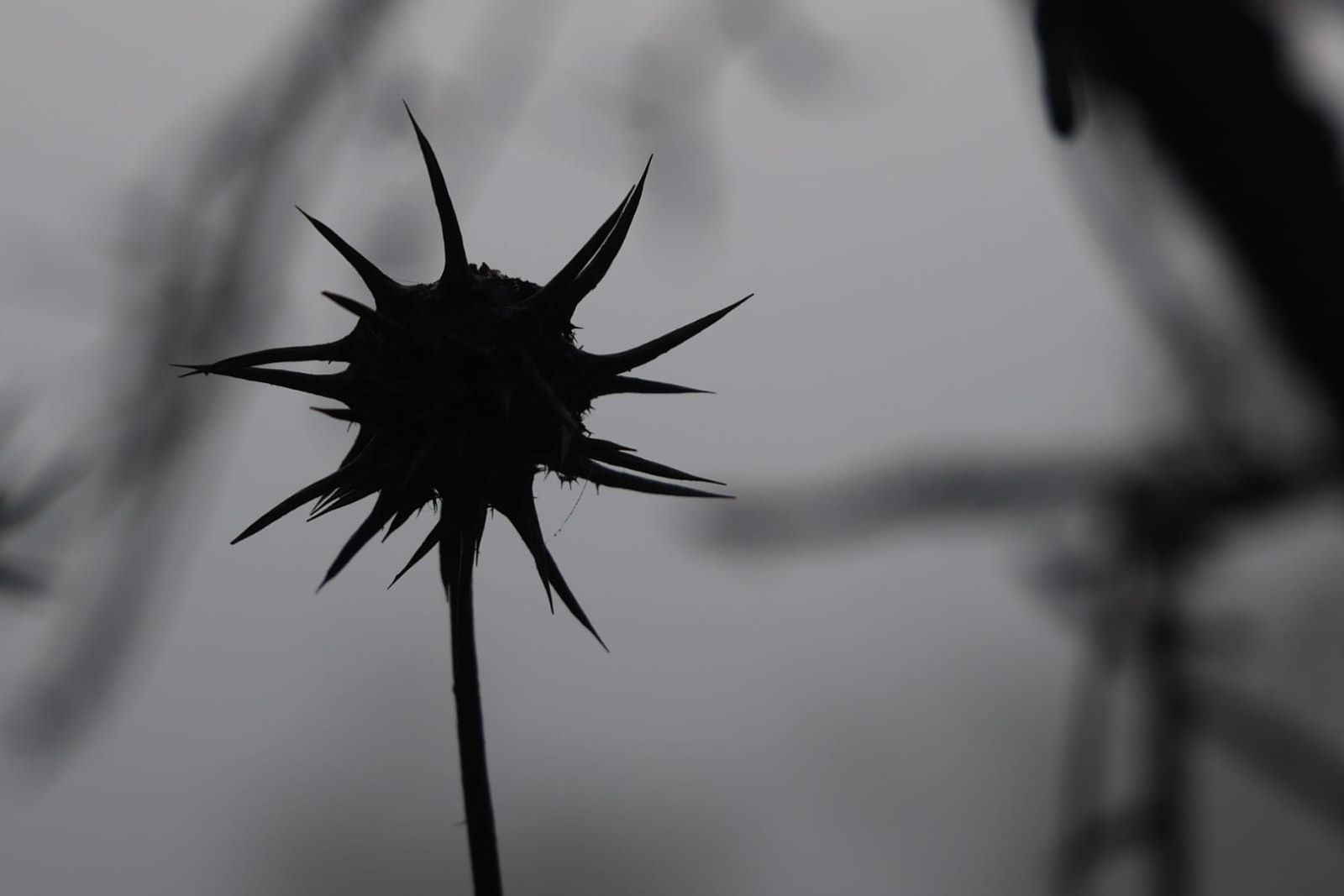 Huelva se tiñe de blanco con la densa niebla de este jueves: espectaculares imágenes de la provincia a primera hora de la mañana