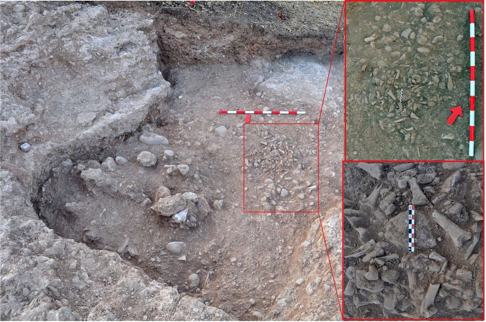 Basurero del siglo XVI.