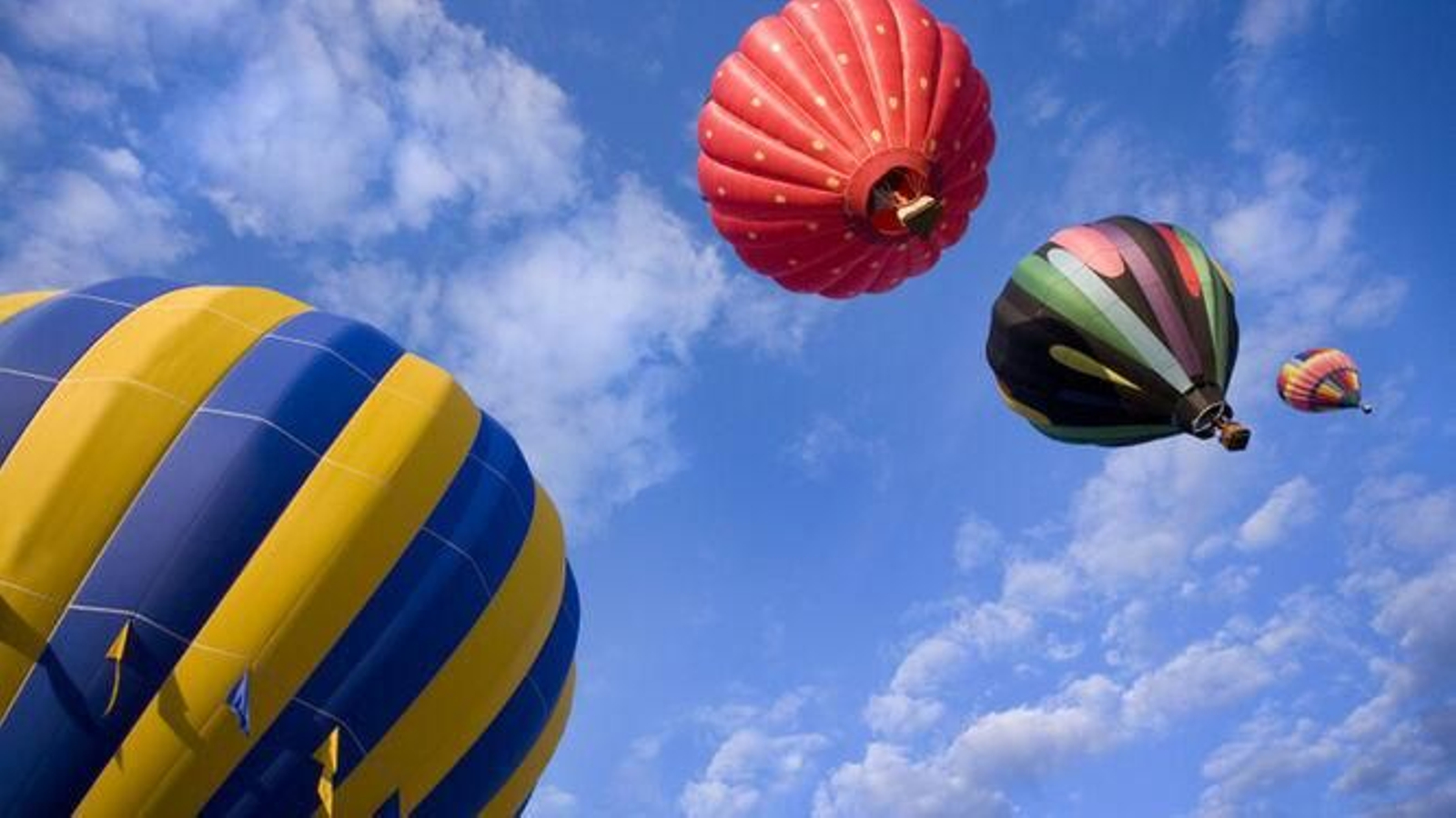 Globos aerostáticos surcando el cielo.