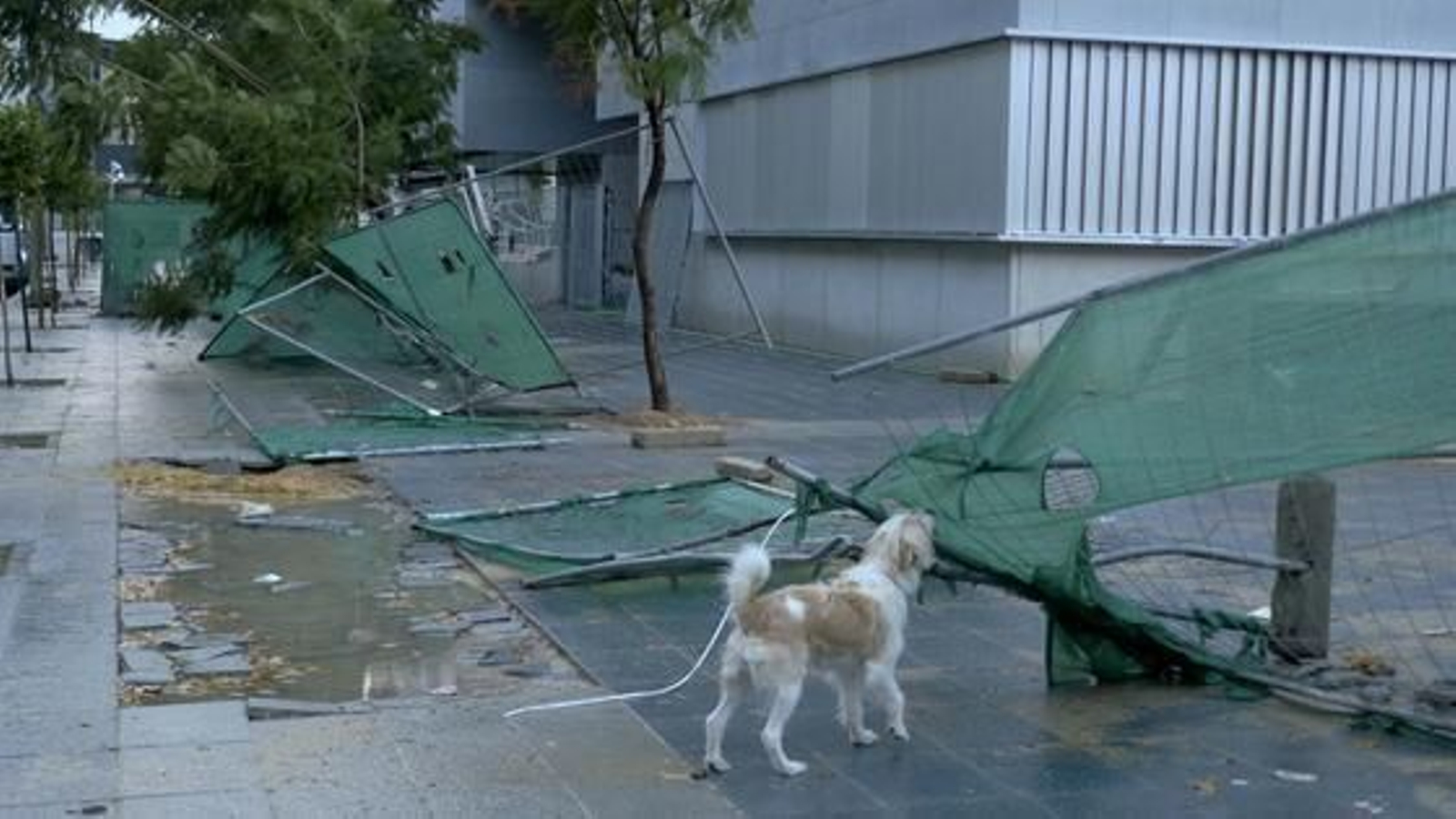 El temporal consigue tirar vallas de las obras.

Foto: Victoria Hidalgo/Jaime Martínez