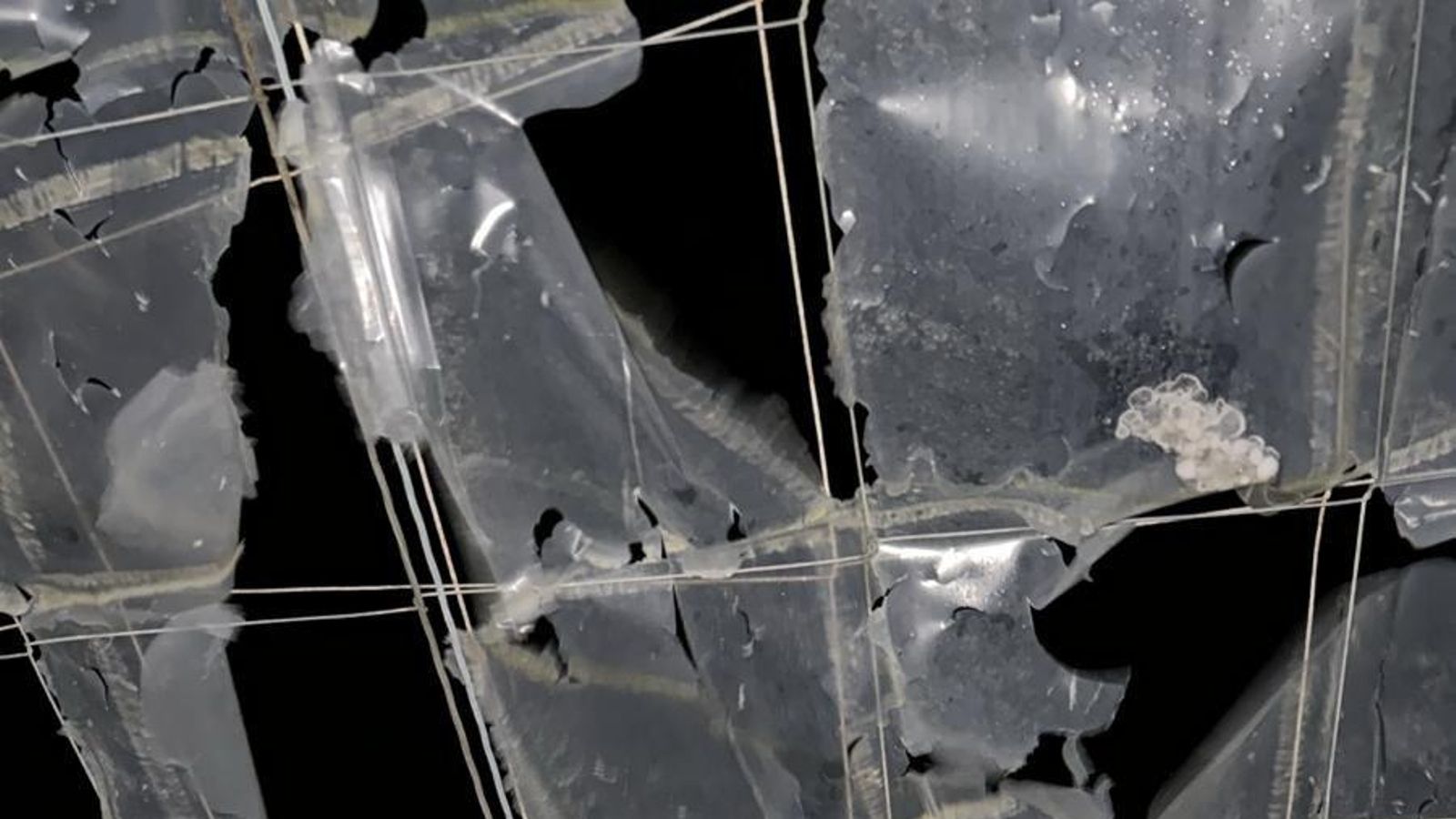 Invernaderos destrozados en El Ejido.