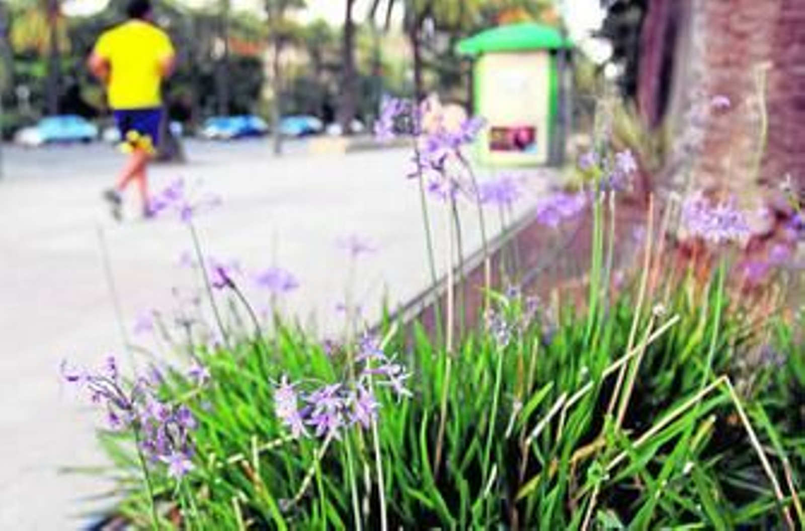 Un parque con olor a ajo