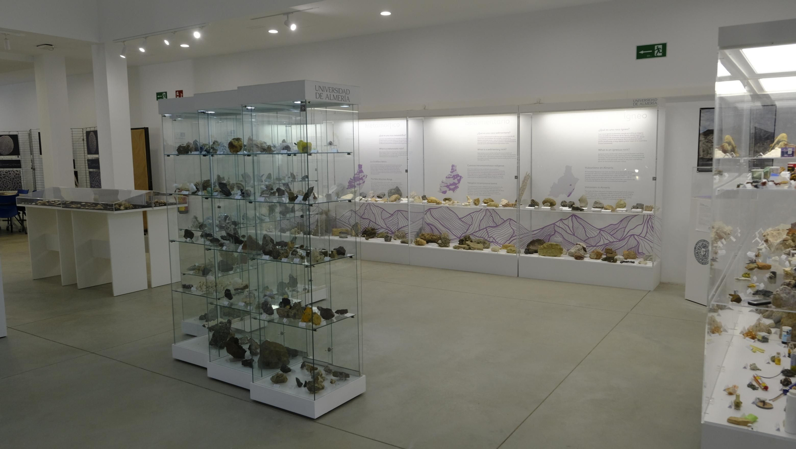 Descubre en estas fotos las maravillas que esconde el Pabellón de Historia Natural de la UAL