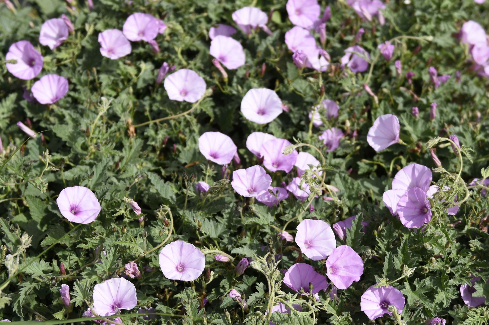 Las imágenes más destacadas del martes 26 de abril en Huelva