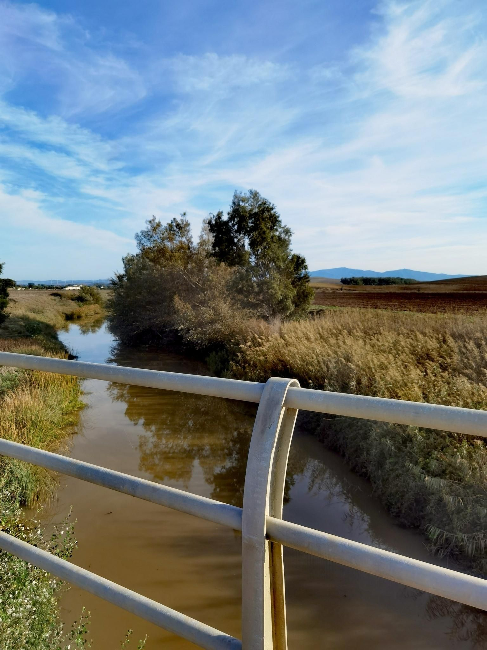 Puente sobre el río Barbate Puente sobre el río Barbate
