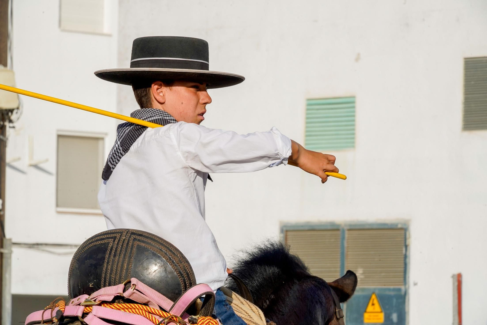 Las imágenes más destacas de la recogida de las yeguas en Hinojos