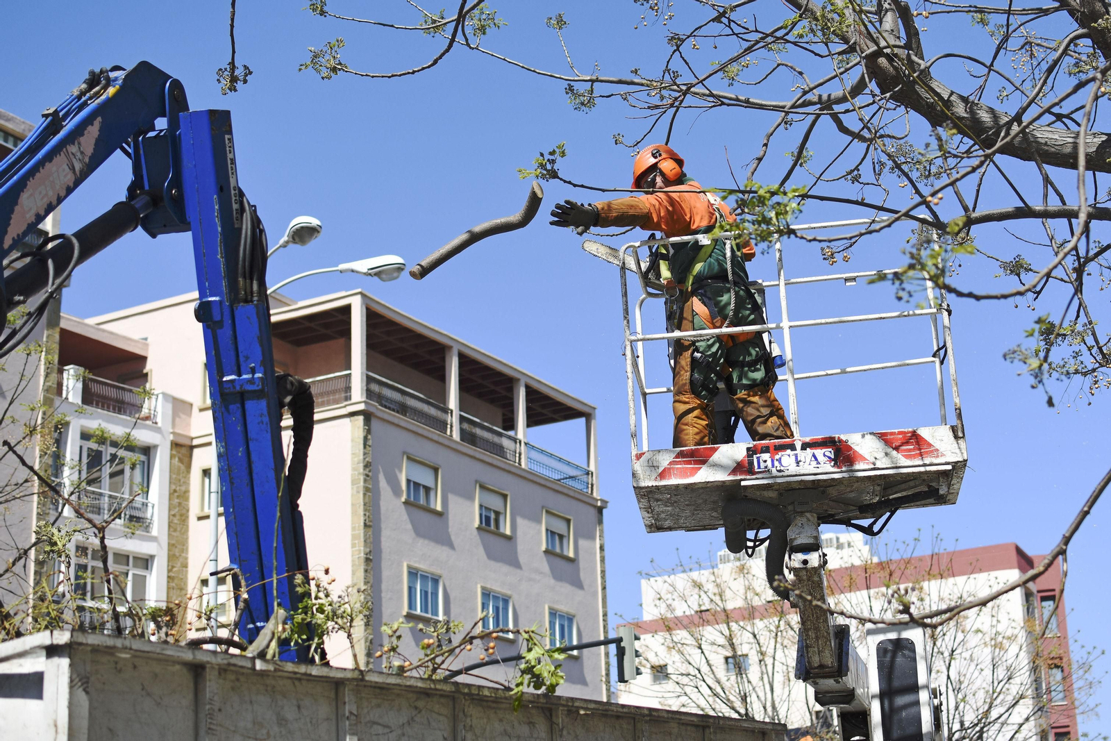 Un operario de Parques y Jardines, en una imagen de archivo.