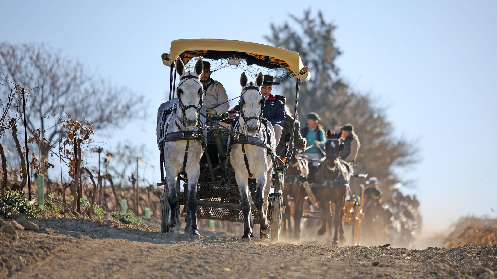 II Ruta Viñas de Jerez