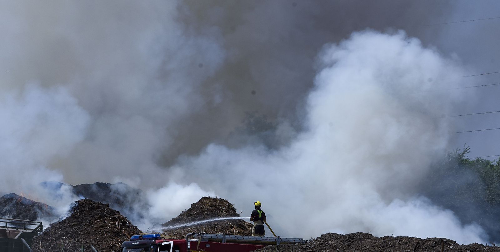 Bomberos de Sevilla extinguen un incendio en una empresa residuos vegetales