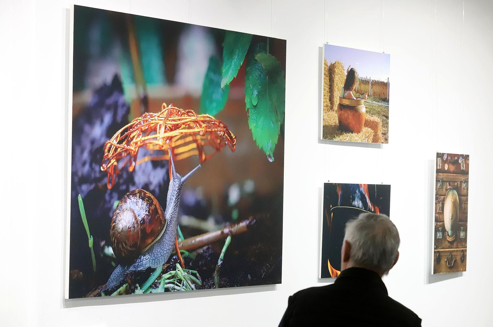 Fotografías presentadas en una anterior edición. Fotografías presentadas en una anterior edición.
