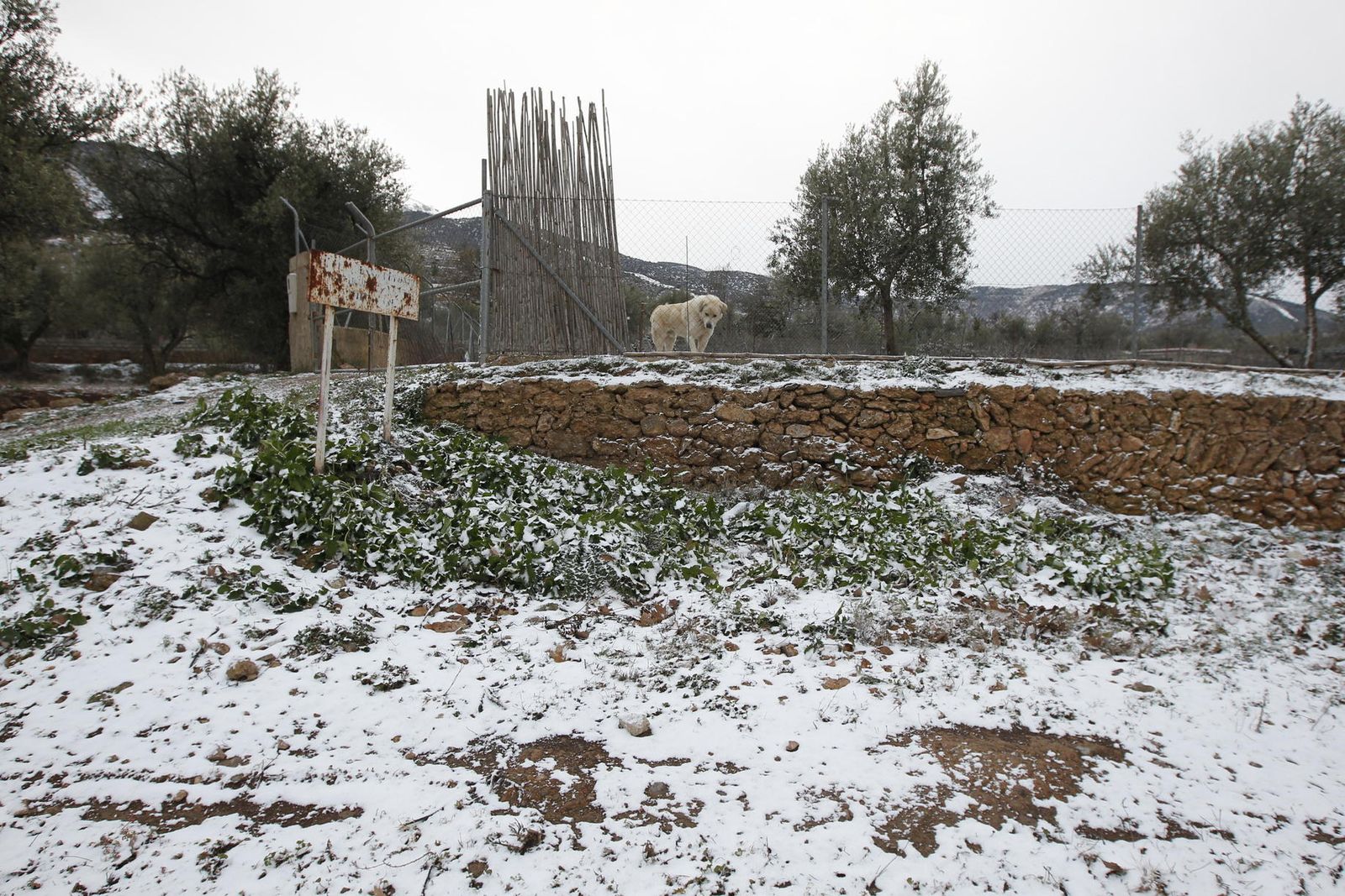 Las imágenes de la ola de frío siberiano