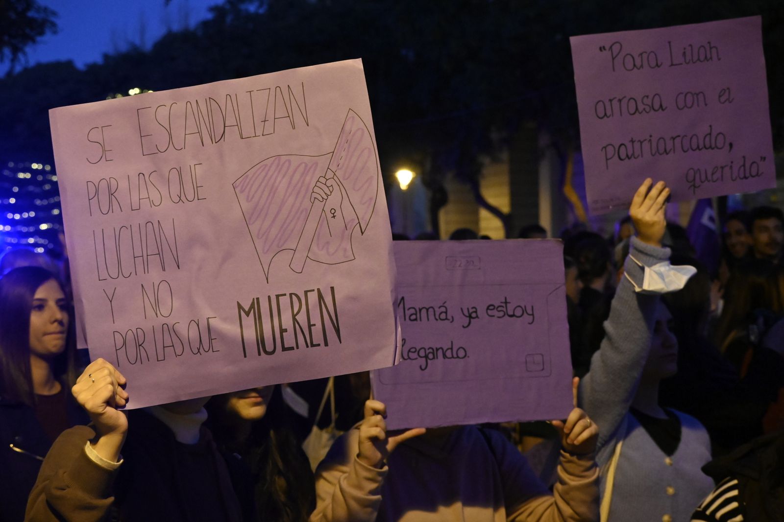 Manifestación del 25N en Imágenes.