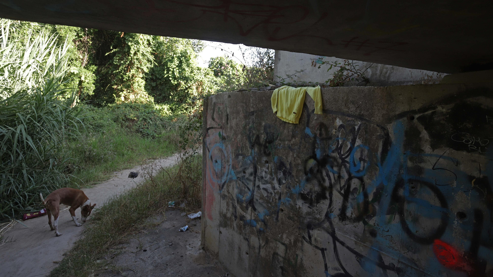 Fotos de los desperfectos del parque del río Pícaro en Algeciras