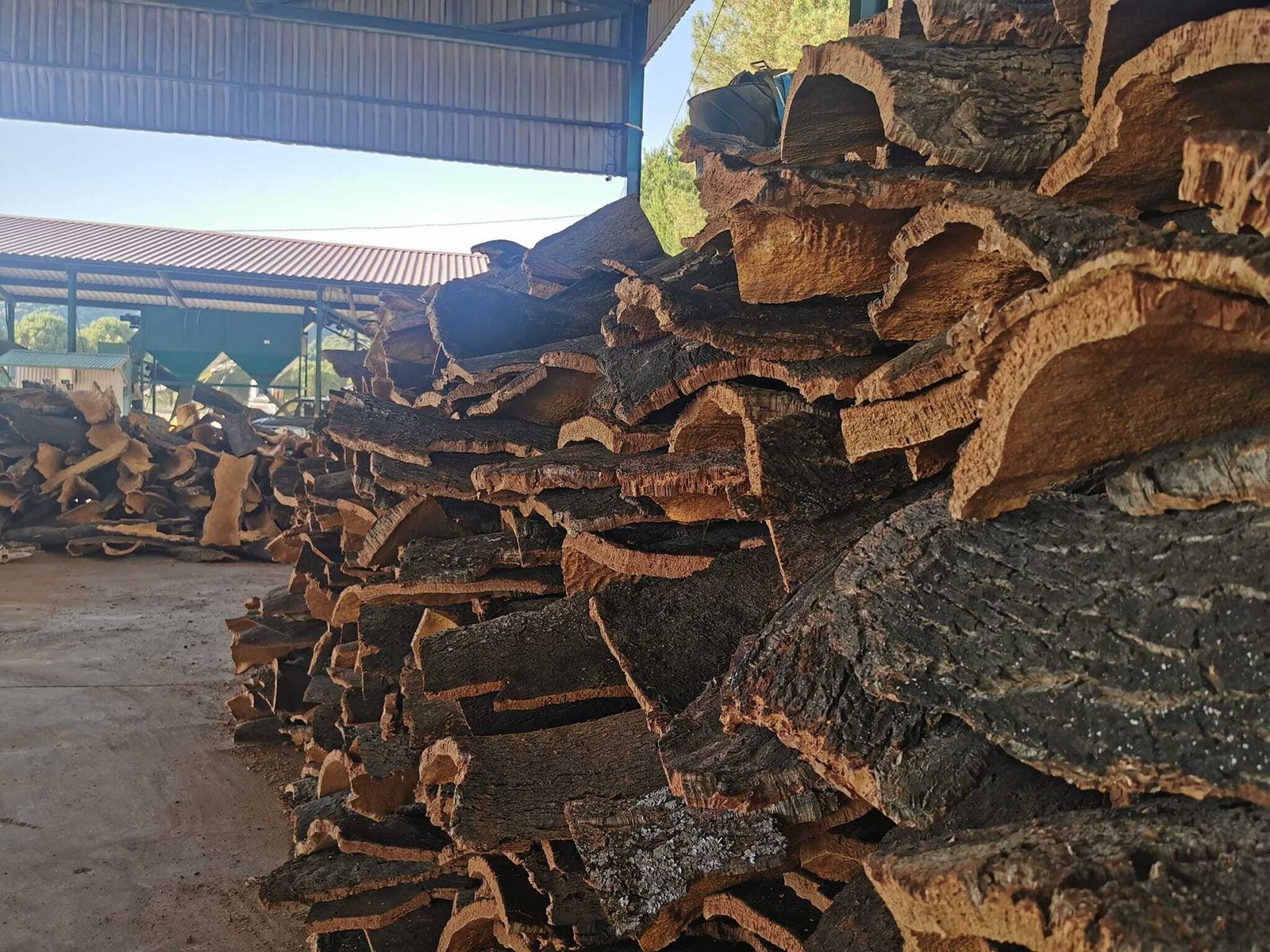 Corcho apilado en Villaviciosa de Córdoba.