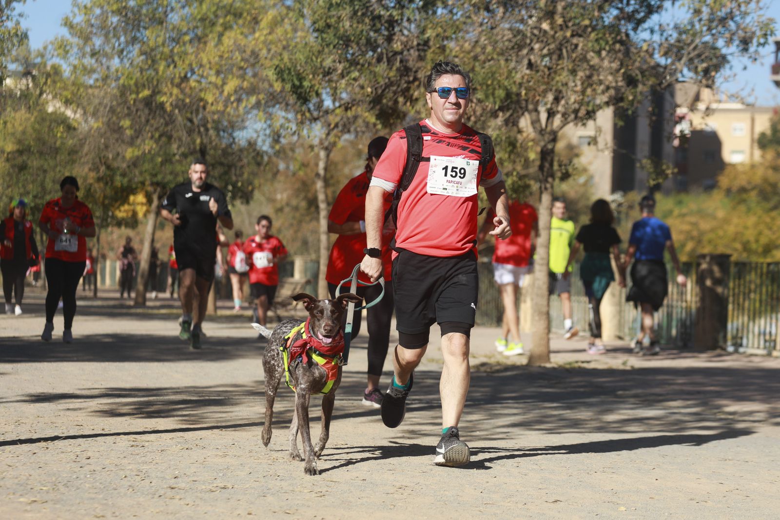 Encuéntrate en la Carrera de la Cruz Roja de Granada