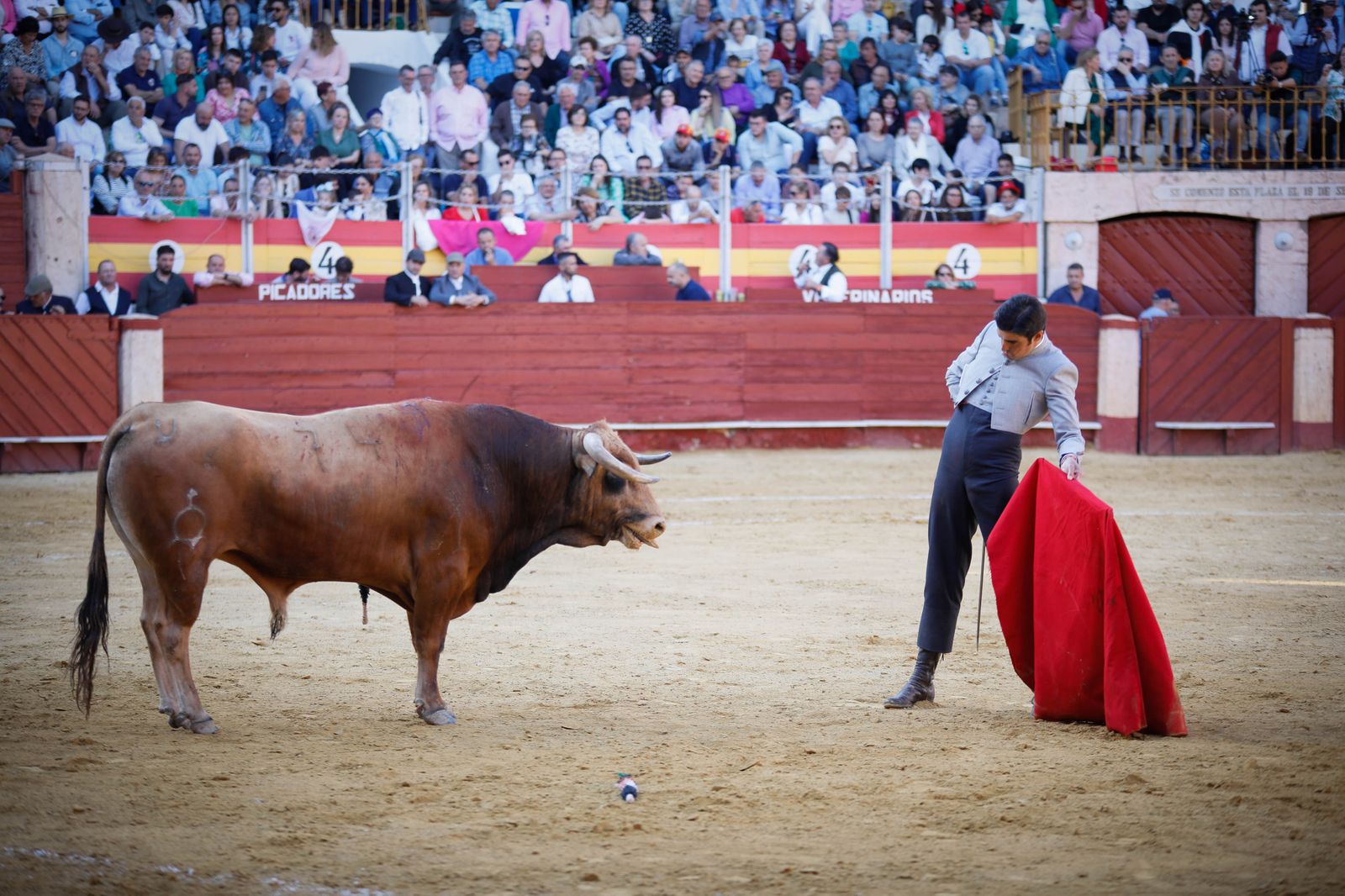 Imágenes del festival mixto lucha contra el cáncer