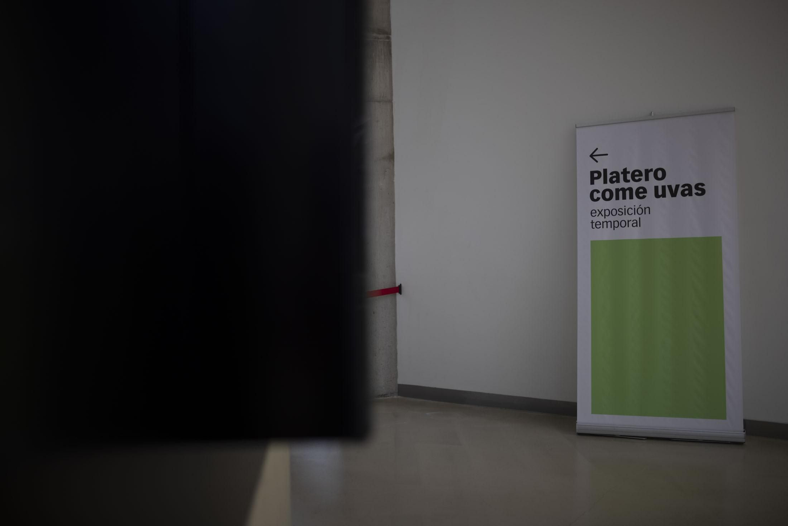 Imágenes de la vendimia en el Condado de Huelva