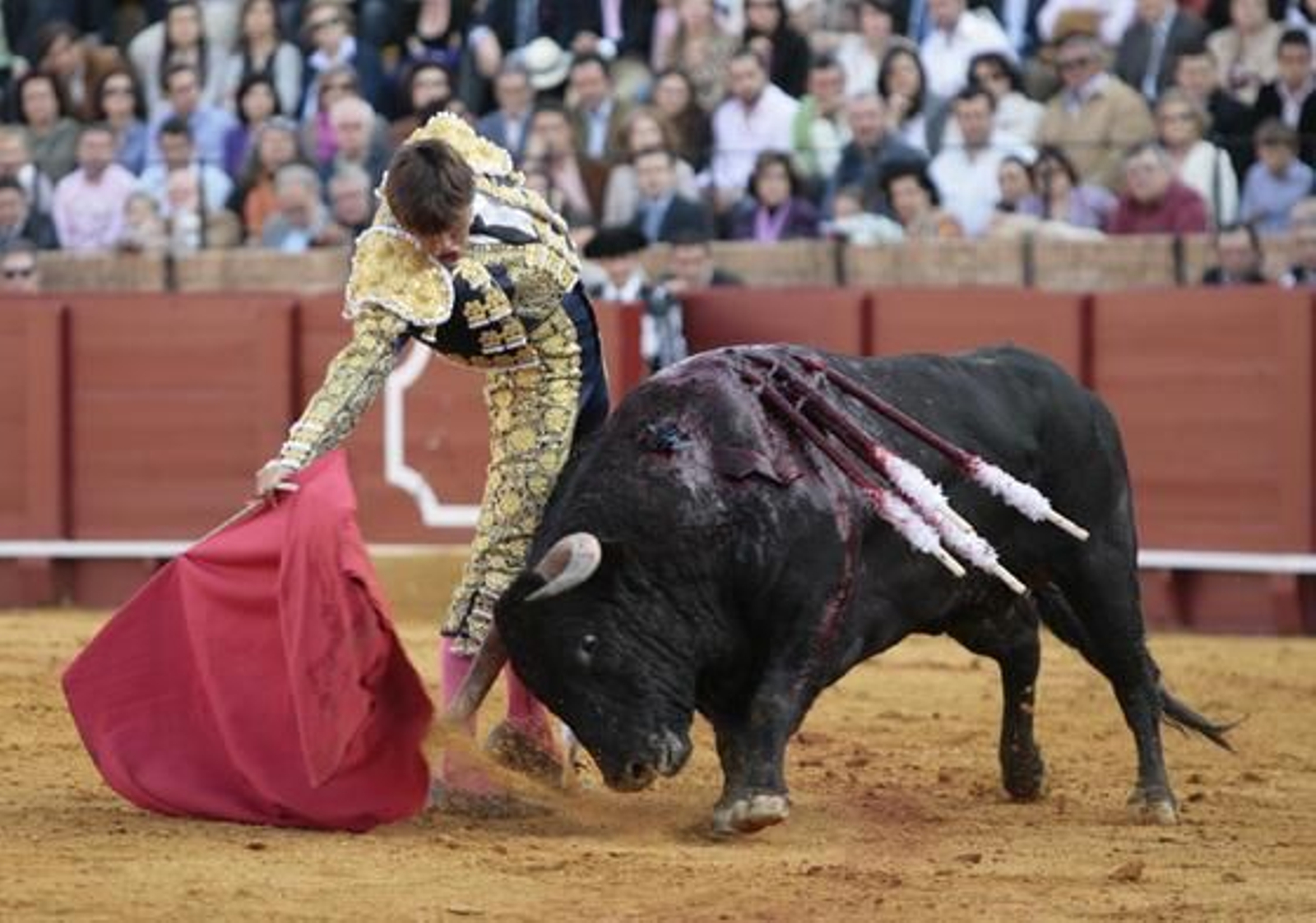 Los toros de Pereda se mostraron muy mansos durante la corrida y apenas permitieron el lucimiento de los toreros.

Foto: Juan Carlos Muñoz