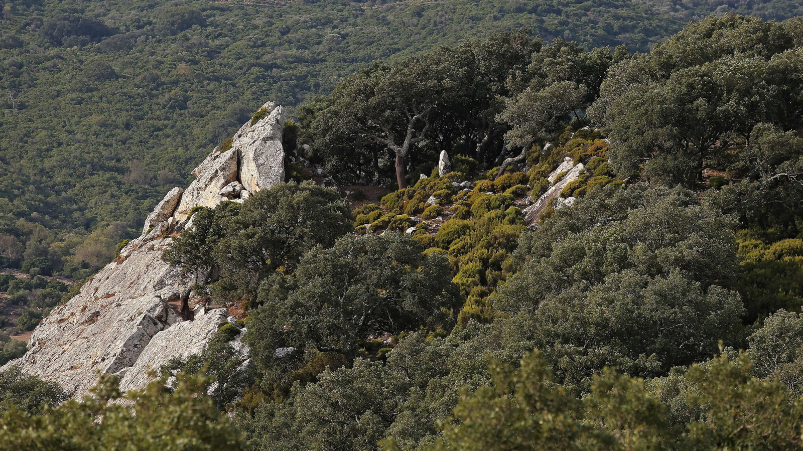 Las mejores fotos de la cueva de la Laja Alta