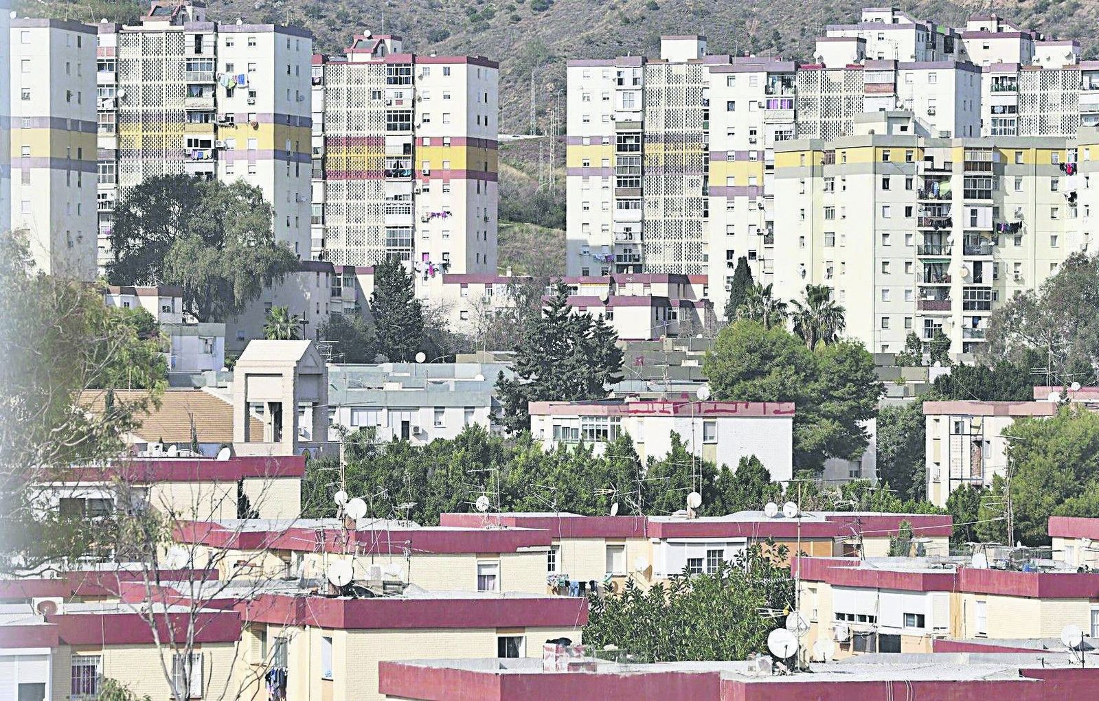 Vista de la Palma-Palmilla.