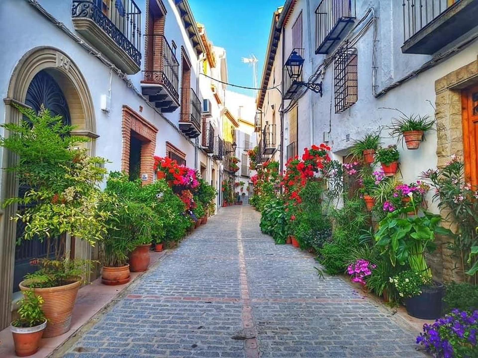 Desde 2020, Iznatoraf tiene la distinción de Flor de Andalucía, con la categoría de cuatro flores. Desde 2020, Iznatoraf tiene la distinción de Flor de Andalucía, con la categoría de cuatro flores.