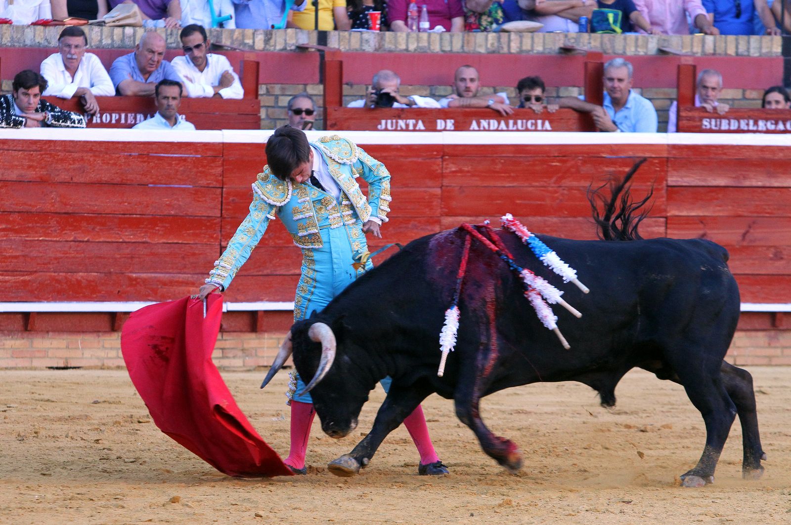 Imágenes de la Novillada de Rafael Serna, Emilio Silvera y Rodrigo Molina.