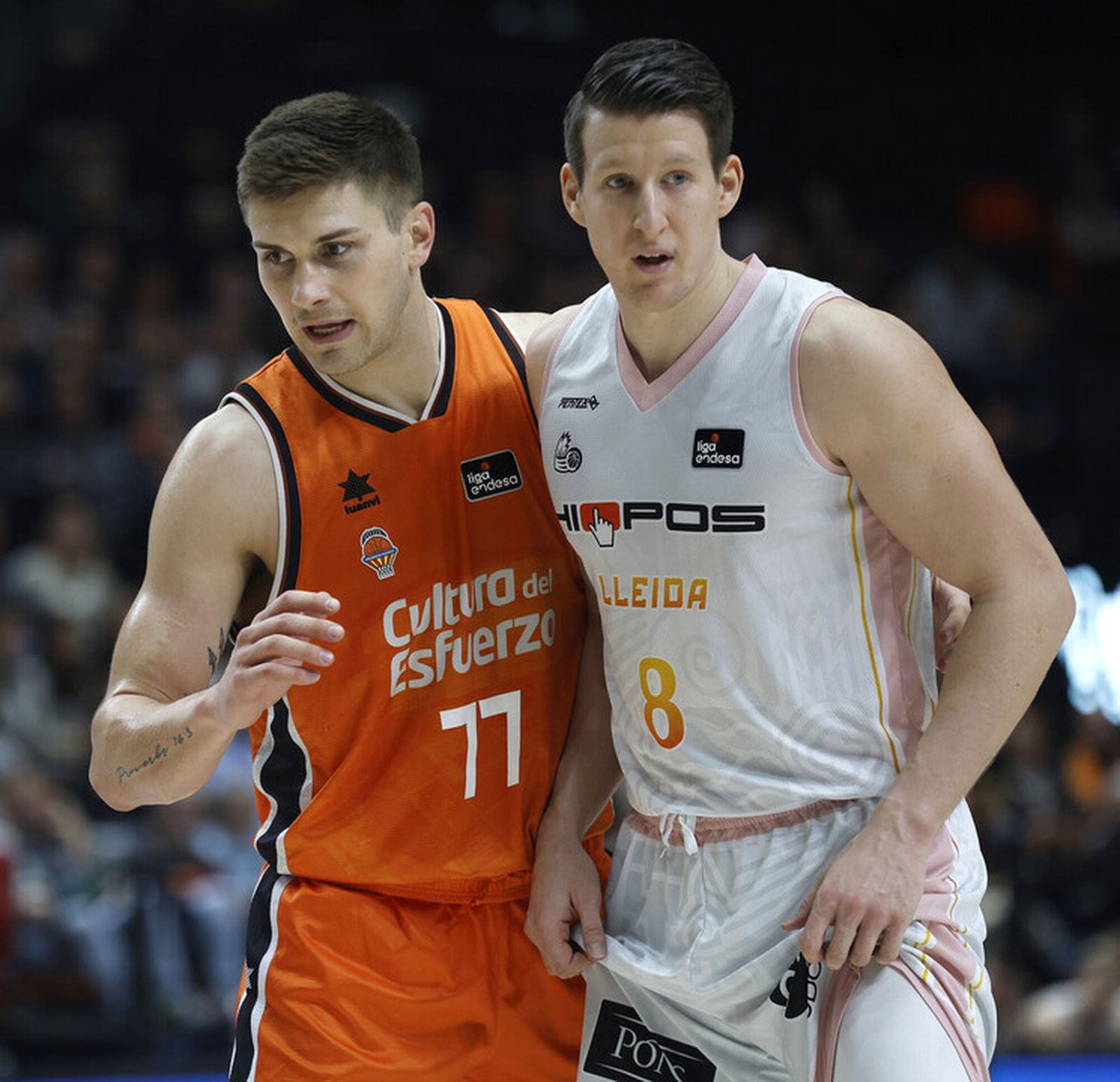 Valencia Basket, clasificado para la Copa del Rey 2025... Y el Unicaja podría seguirle en Murcia