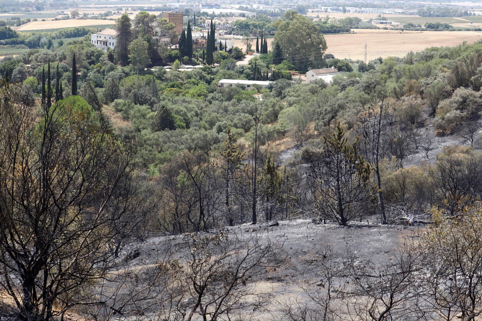 Zona cero del incendio de la Sierra de Córdoba