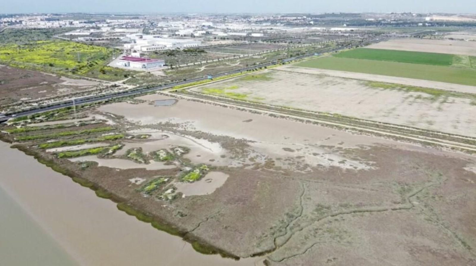 Detalle del Guadalete.