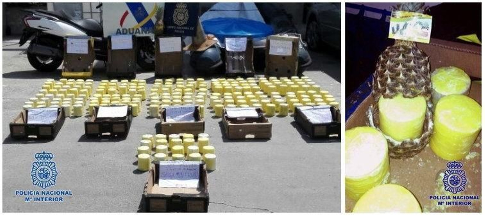 Incautación de 200 kg de cocaína ocultos en piñas frescas, en el Puerto de Algeciras, en 2015.